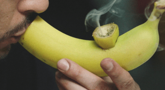 1674905609480.png 1674905609480.png