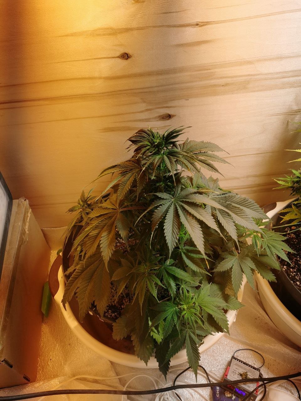 49 — копия.jpg