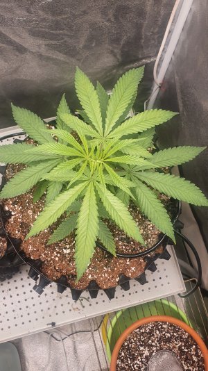 20230203_233132.jpg 20230203_233132.jpg