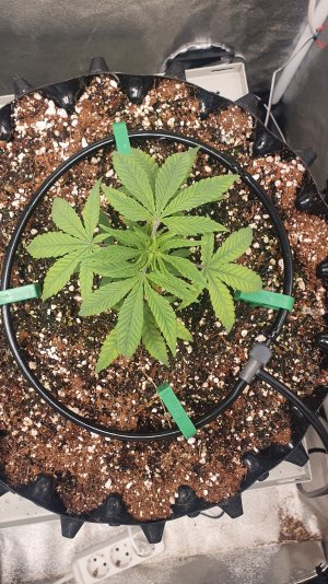 20230127_105317.jpg 20230127_105317.jpg