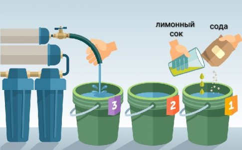Правила процедуры