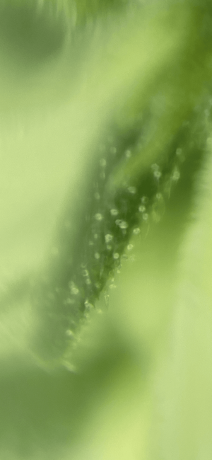 4B240C49-EE3A-45DB-B37B-FB204649990E.png 4B240C49-EE3A-45DB-B37B-FB204649990E.png