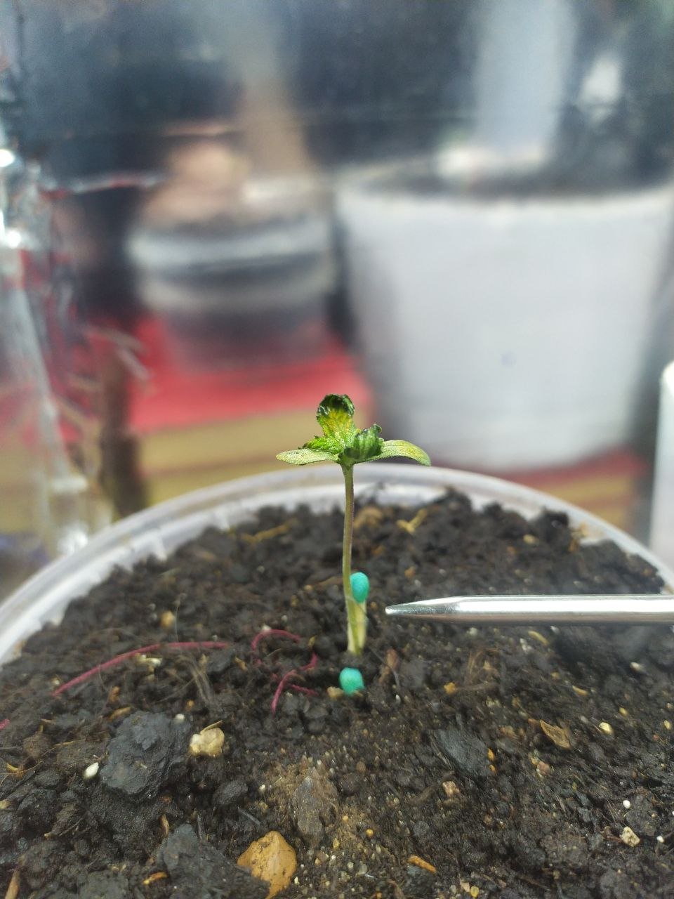 photo_2023-02-10_20-48-15 (2).jpg