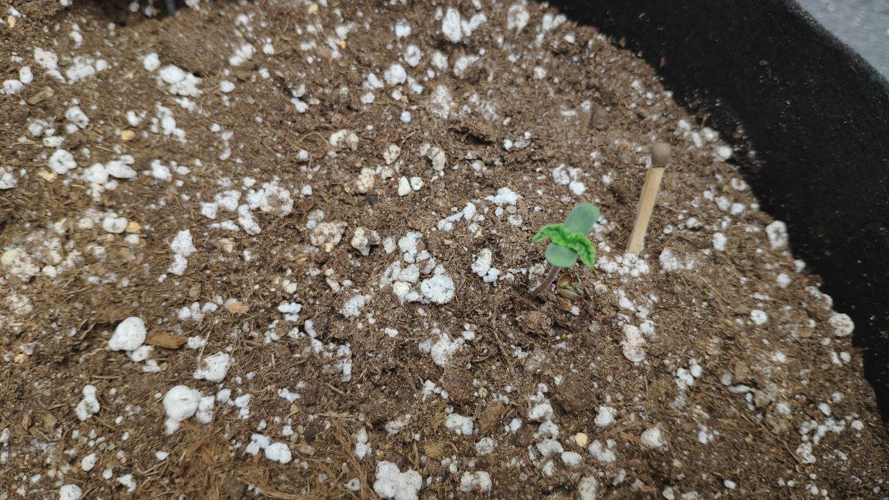 2 photo_2023-02-17_15-27-01.jpg 2 photo_2023-02-17_15-27-01.jpg