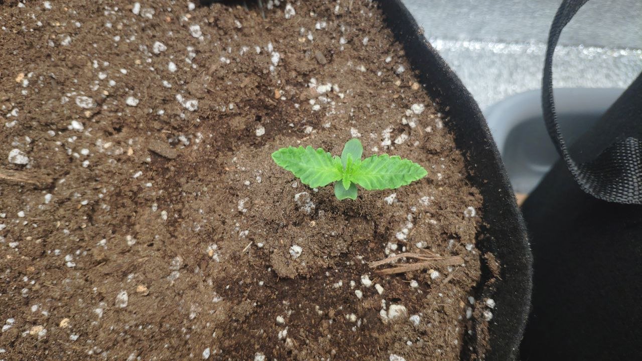 6 photo_2023-02-17_15-41-16.jpg 6 photo_2023-02-17_15-41-16.jpg