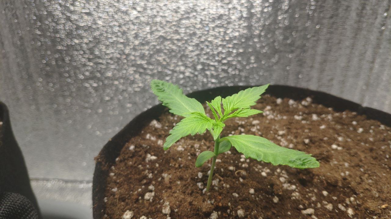 11 photo_2023-02-17_16-07-09.jpg 11 photo_2023-02-17_16-07-09.jpg