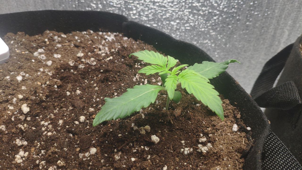 11 photo_2023-02-17_16-07-23.jpg 11 photo_2023-02-17_16-07-23.jpg