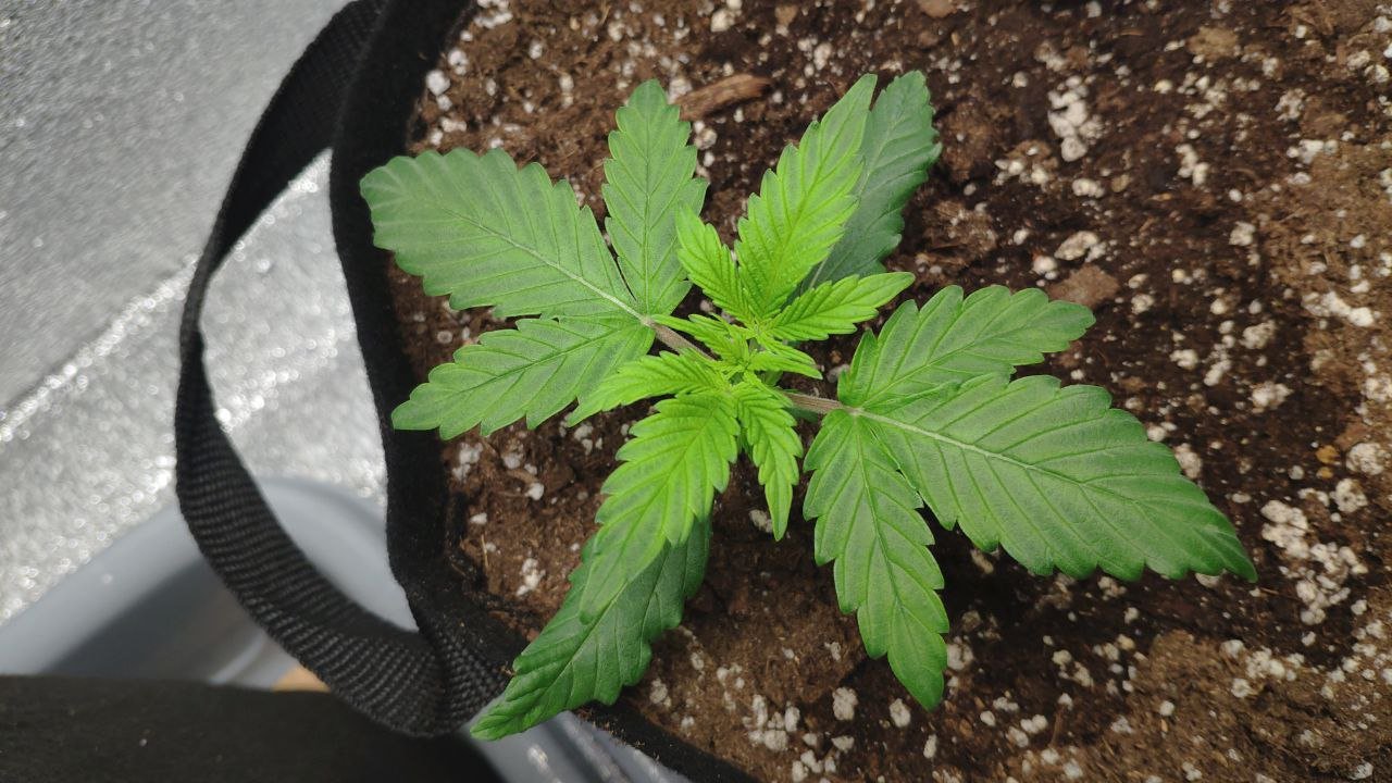 14 photo_2023-02-17_16-08-23.jpg 14 photo_2023-02-17_16-08-23.jpg