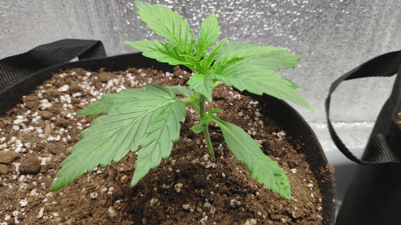 15 photo_2023-02-17_16-30-09.jpg 15 photo_2023-02-17_16-30-09.jpg