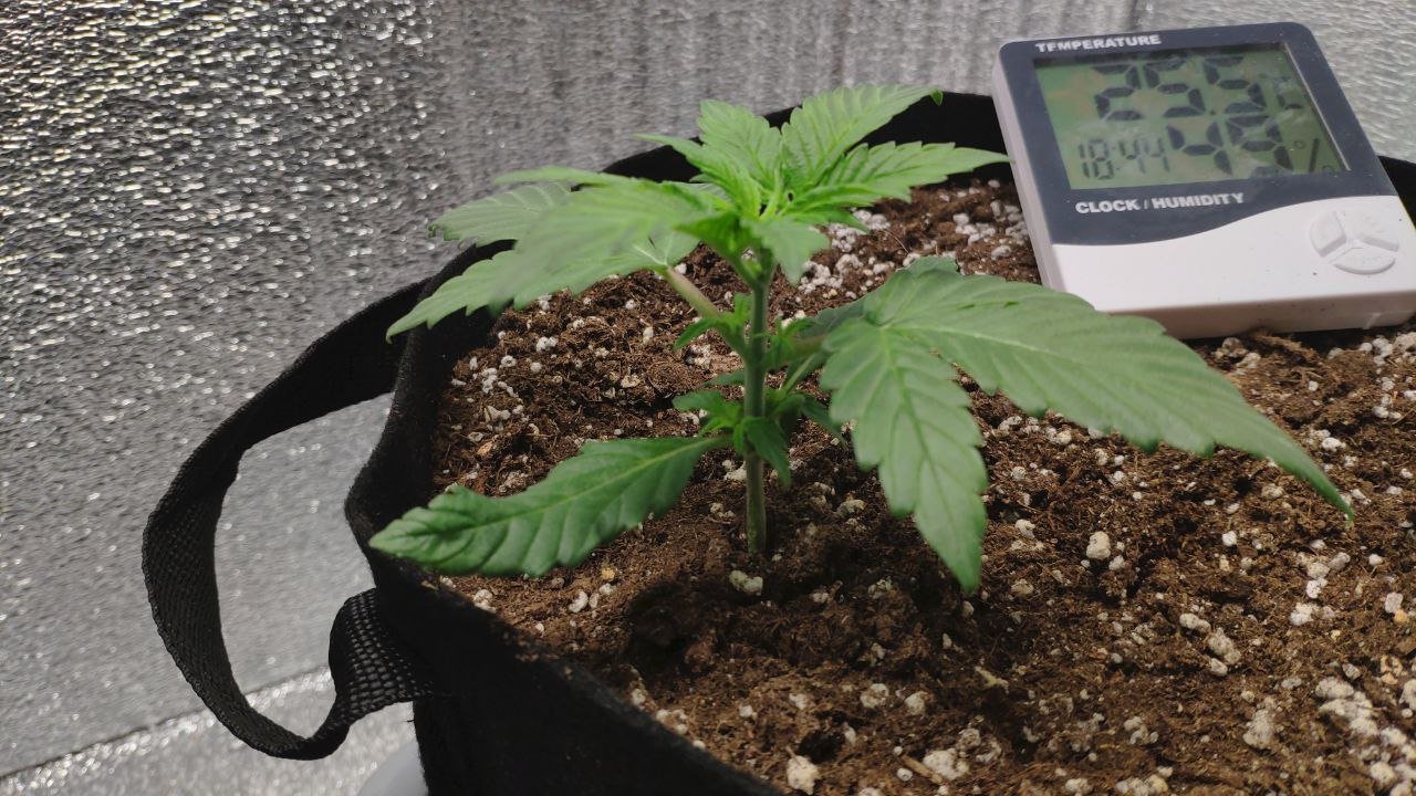 15 photo_2023-02-17_16-30-18.jpg 15 photo_2023-02-17_16-30-18.jpg