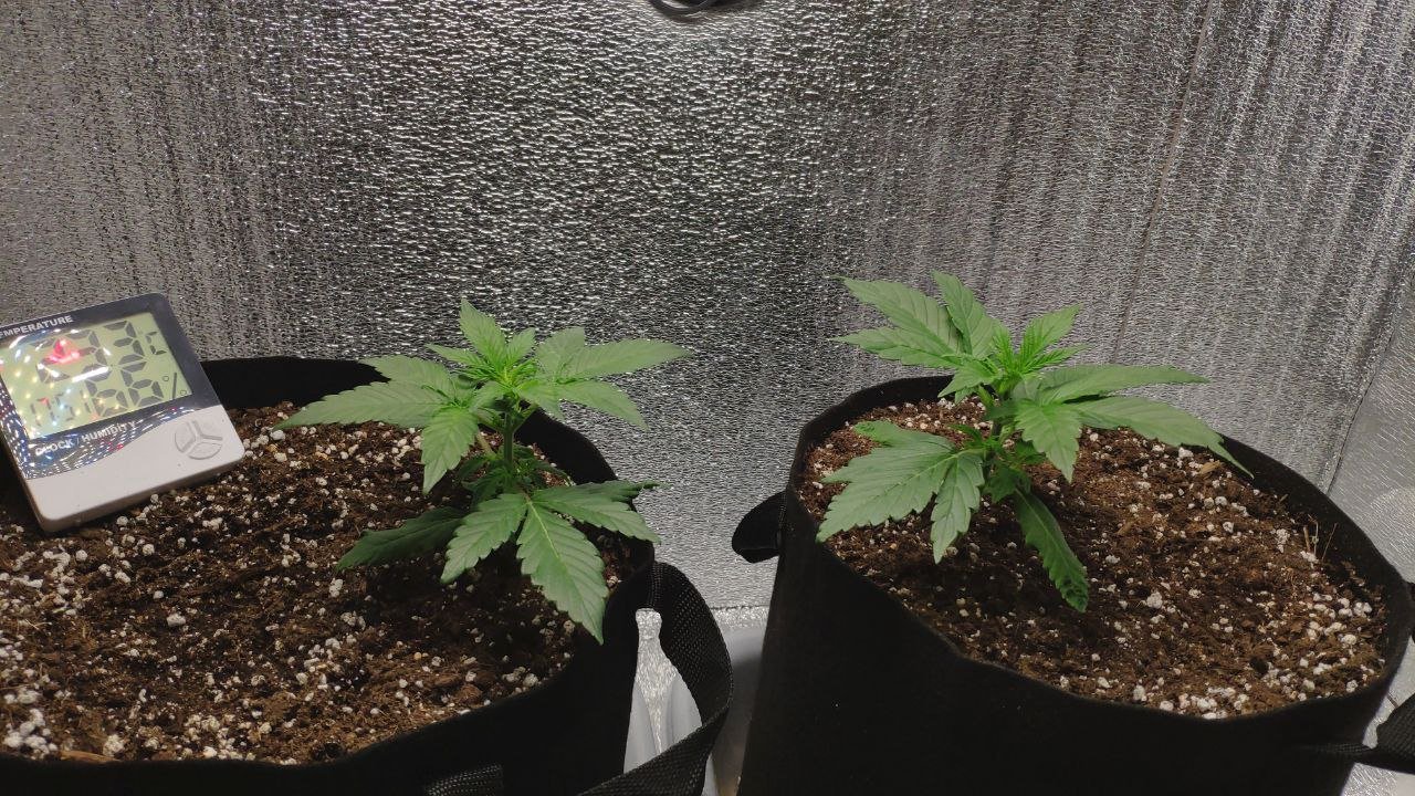 17 photo_2023-02-17_16-31-07.jpg 17 photo_2023-02-17_16-31-07.jpg