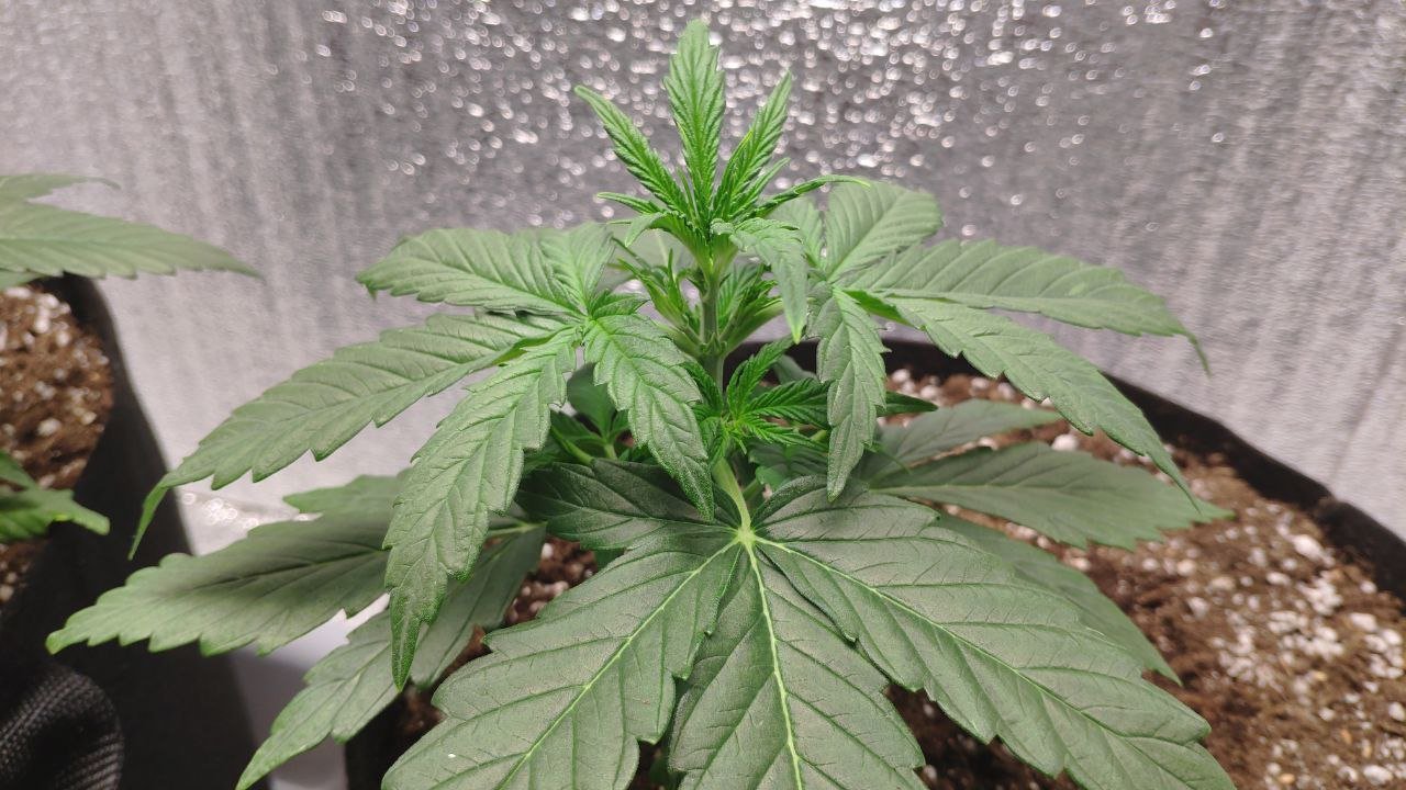 20 photo_2023-02-17_16-33-37.jpg 20 photo_2023-02-17_16-33-37.jpg