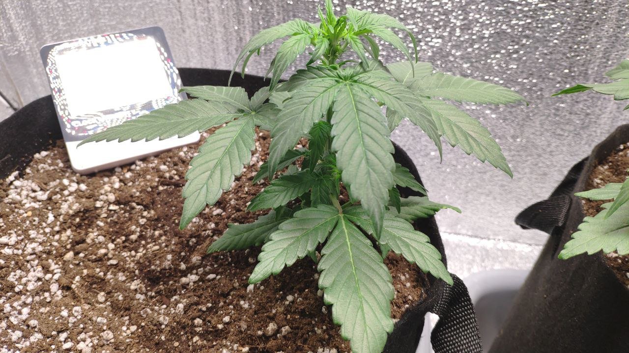 20 photo_2023-02-17_16-33-47.jpg 20 photo_2023-02-17_16-33-47.jpg