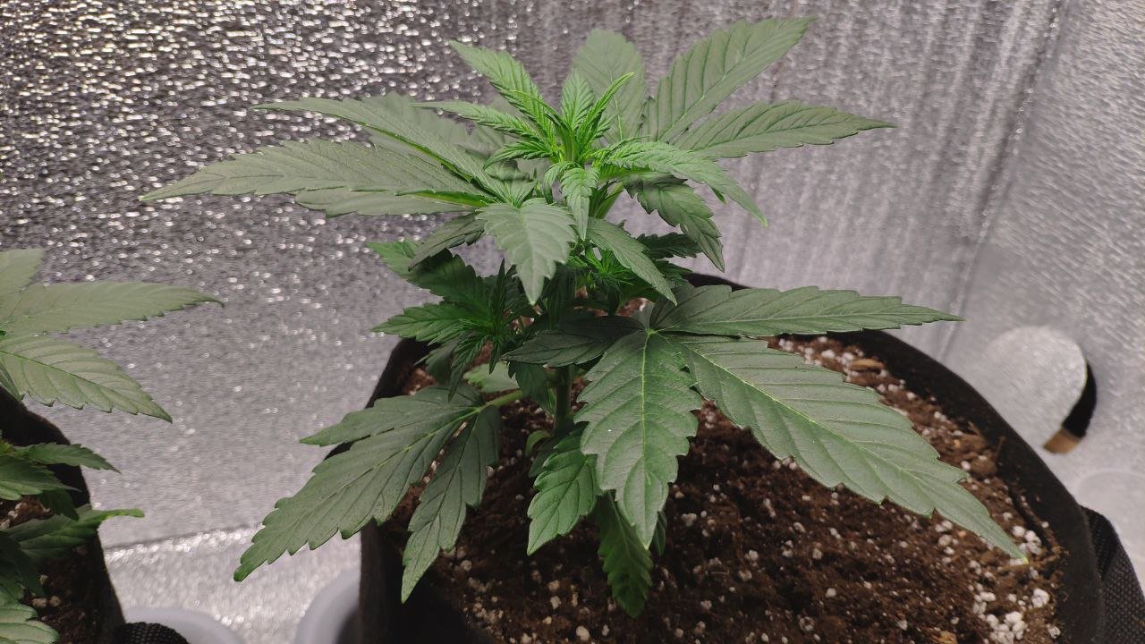 21 photo_2023-02-17_16-41-09.jpg 21 photo_2023-02-17_16-41-09.jpg