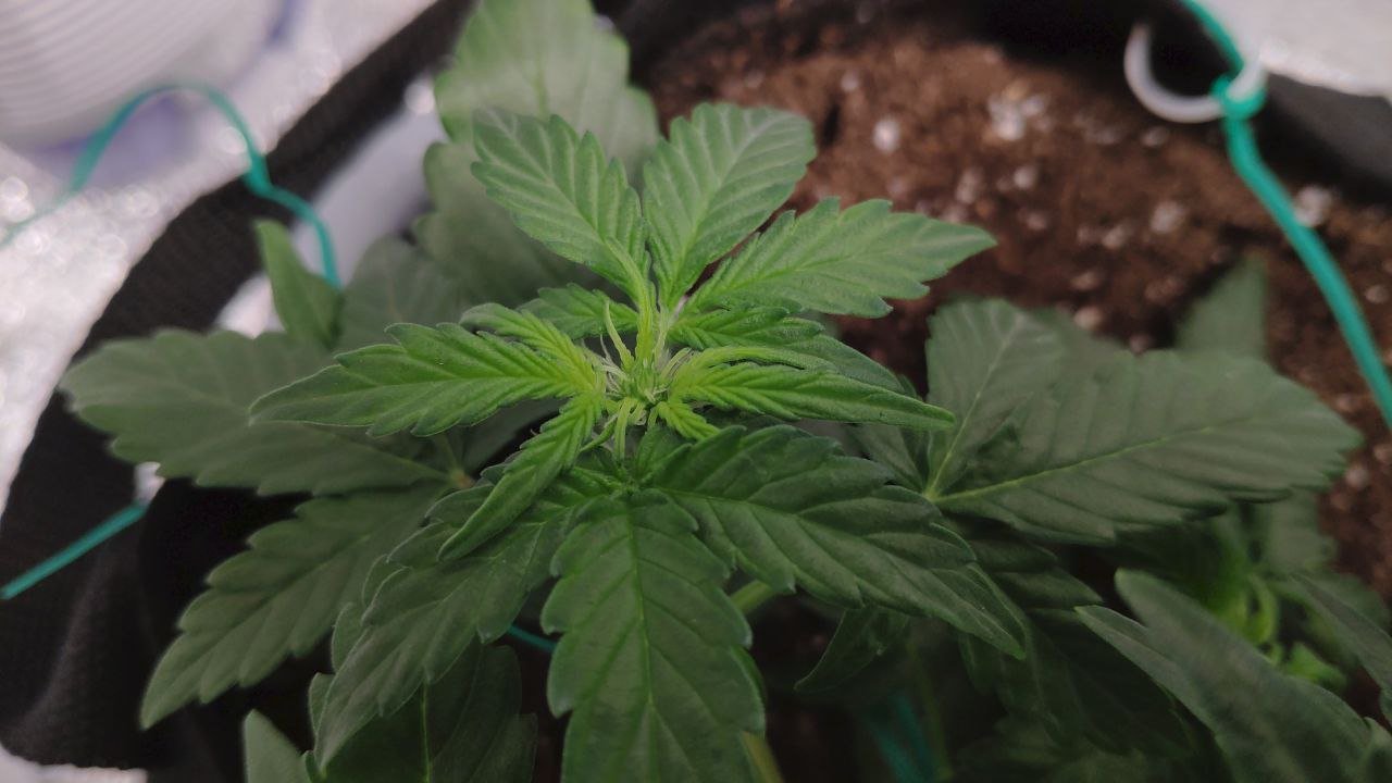 23 photo_2023-02-17_16-57-30.jpg 23 photo_2023-02-17_16-57-30.jpg