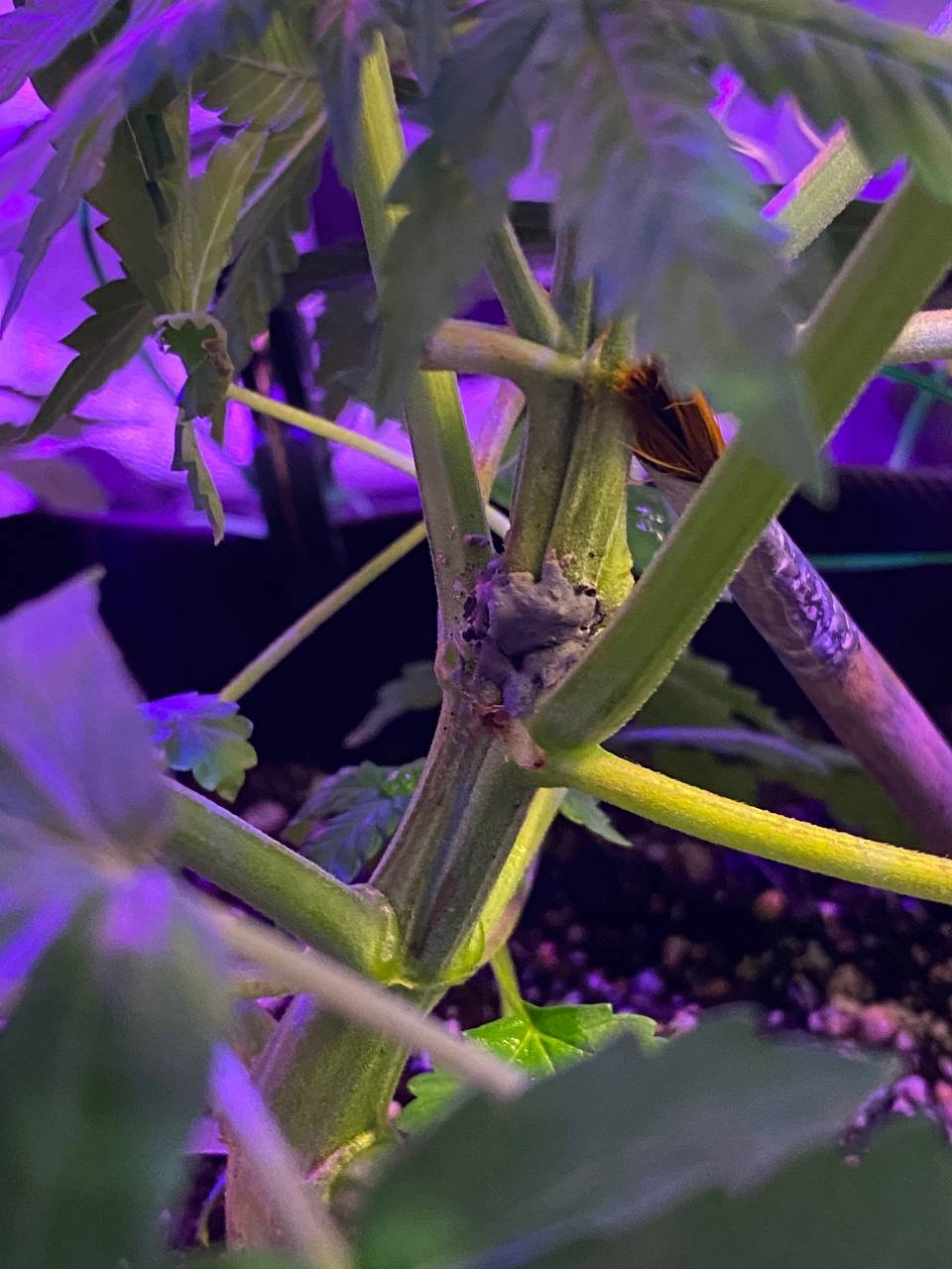 photo1676739698 (4).jpeg