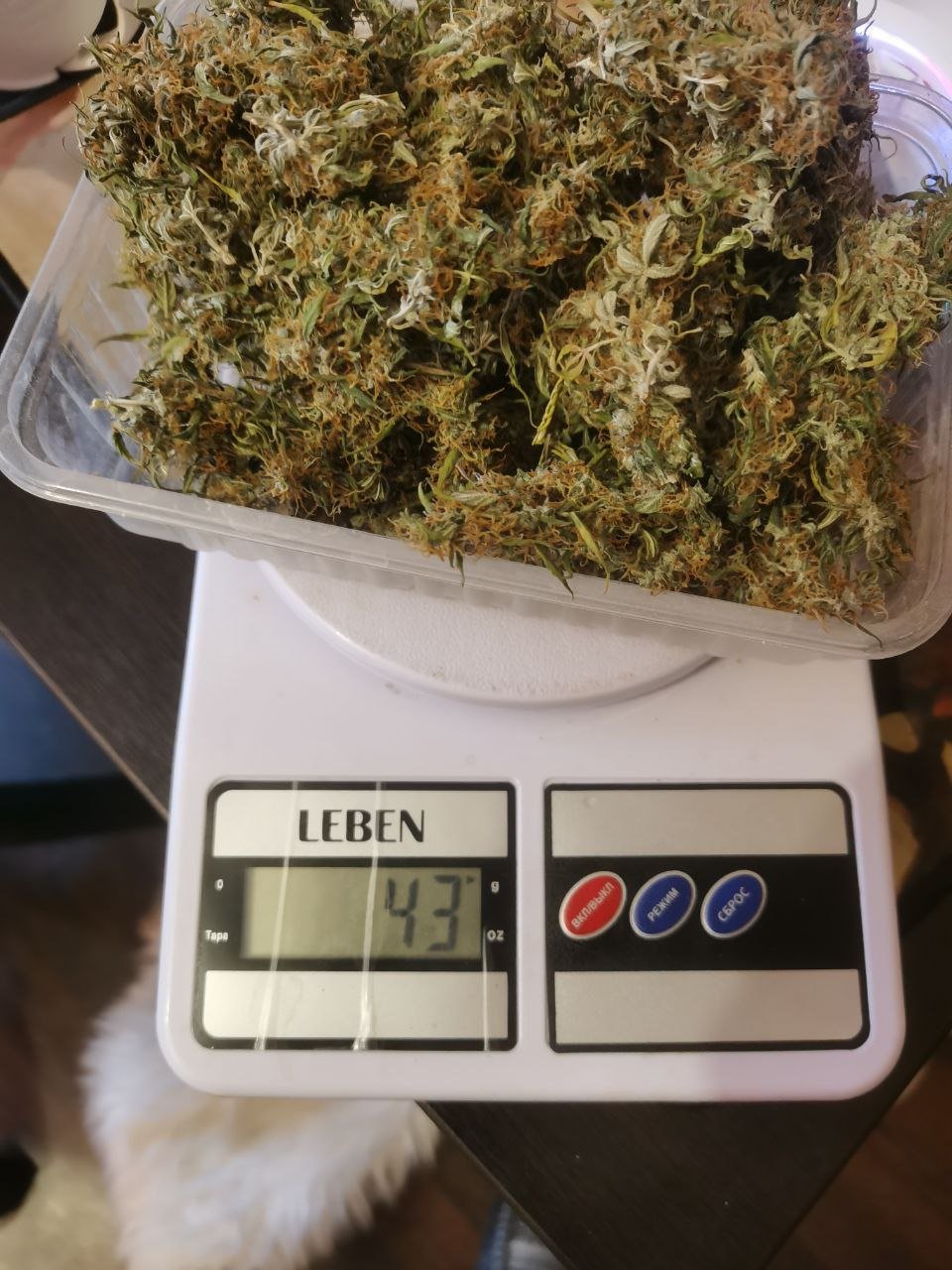 83 — копия.jpg