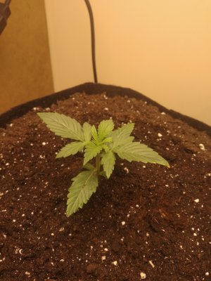 день 10 2.jpg день 10 2.jpg