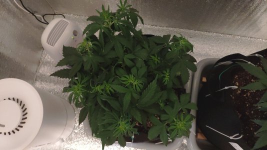 IMG_20230225_123009.jpg IMG_20230225_123009.jpg