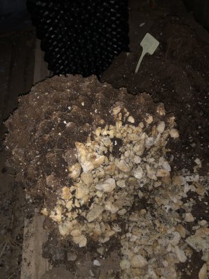 IMG_8039.JPG IMG_8039.JPG