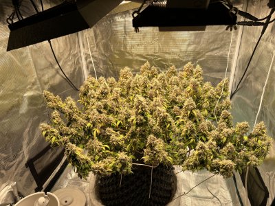 6F690C32-FAB1-4A35-ACEA-4C224FB2424F.jpeg 6F690C32-FAB1-4A35-ACEA-4C224FB2424F.jpeg