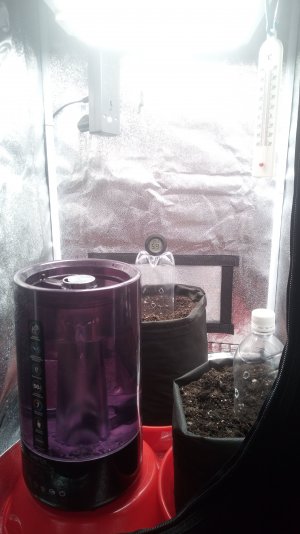 02.03.23 (1).jpg 02.03.23 (1).jpg