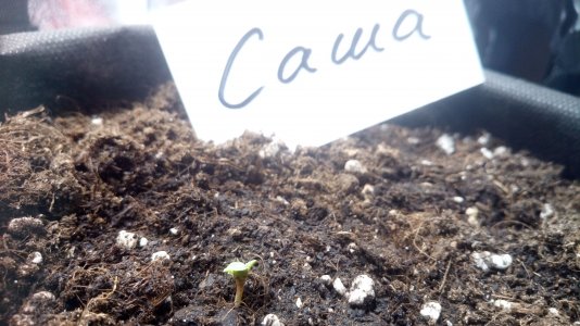 04.03.23 (1).jpg 04.03.23 (1).jpg