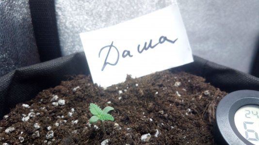 06.03.23 (2).jpg 06.03.23 (2).jpg