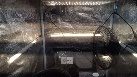 06.03.23 (4).jpg 06.03.23 (4).jpg