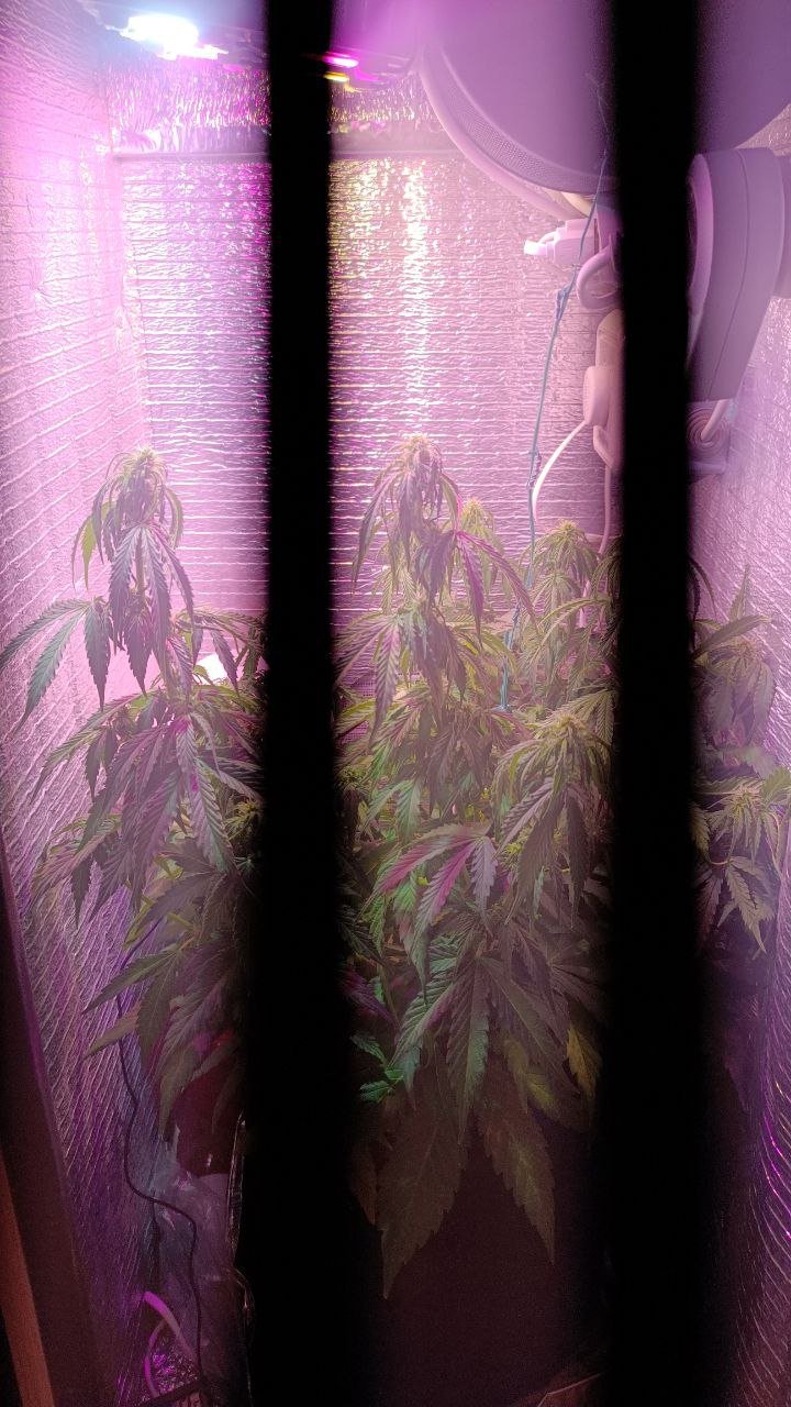 photo1678444183.jpeg photo1678444183.jpeg