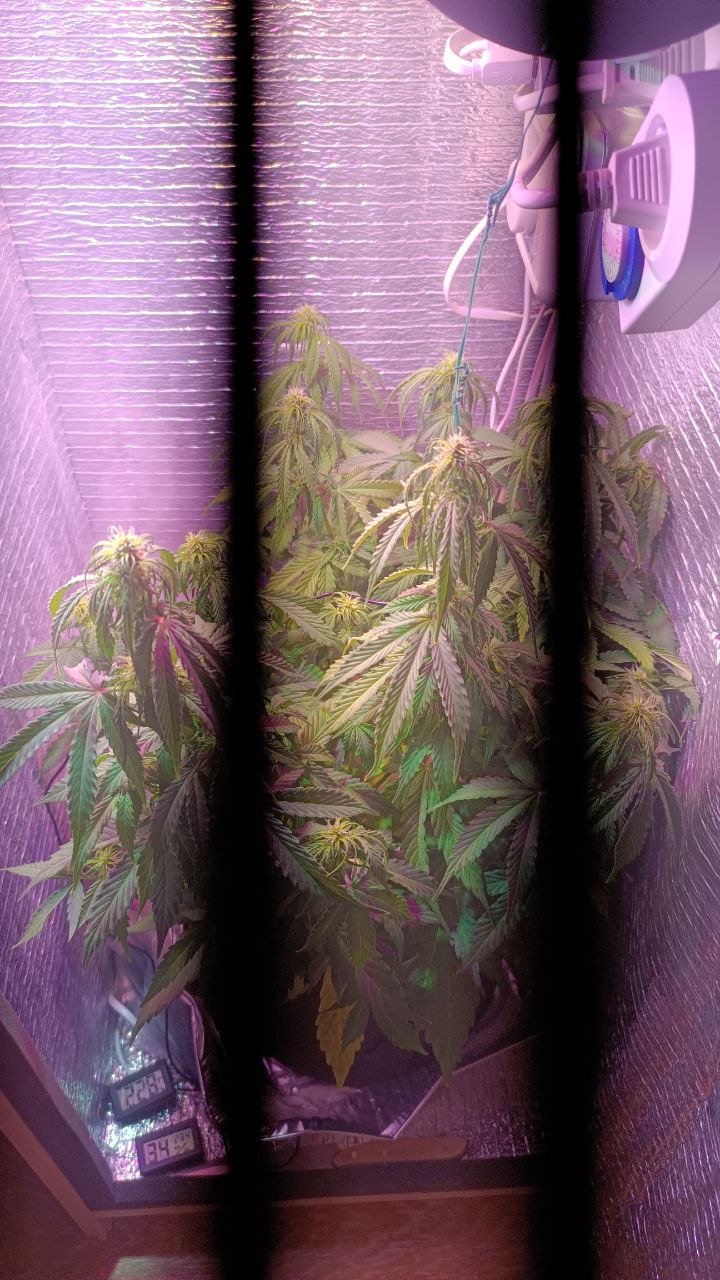 photo1678444183(1).jpeg photo1678444183(1).jpeg