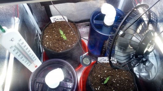 10.03.23 (1).jpg 10.03.23 (1).jpg