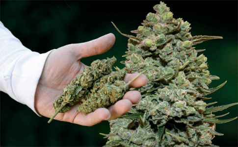 1678464326935.png 1678464326935.png