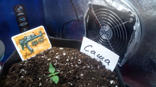 11.03.23 (2).jpg 11.03.23 (2).jpg