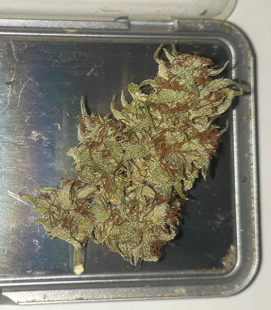 photo_2023-03-13_18-16-52 (3).jpg