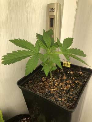 86213653-25A5-47D3-BEA0-93184A34F156.jpeg 86213653-25A5-47D3-BEA0-93184A34F156.jpeg