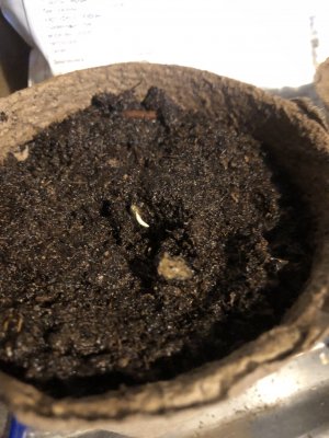 30B3B8D7-5504-45DB-9D1D-551288D35C21.jpeg 30B3B8D7-5504-45DB-9D1D-551288D35C21.jpeg