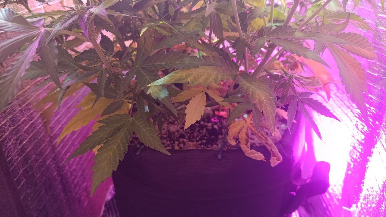 photo1678982908(2).jpeg photo1678982908(2).jpeg