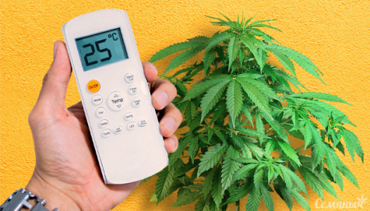 1679562845696.png 1679562845696.png