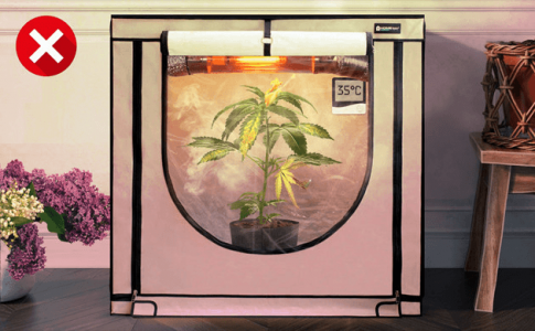 1679563120750.png 1679563120750.png