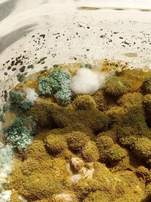 IMG_20230325_132643_3.jpg IMG_20230325_132643_3.jpg