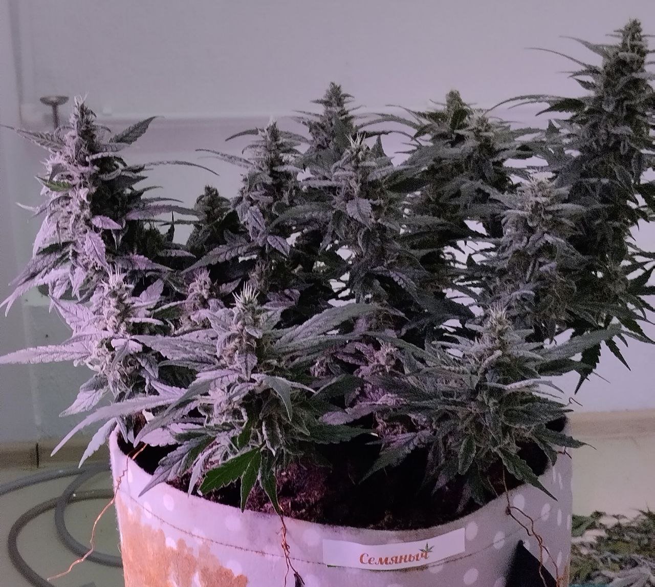 photo_2023-04-01_19-08-39 (2).jpg