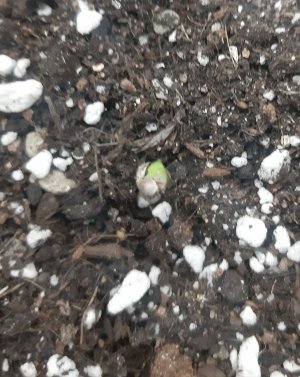 20230404_105222.jpg 20230404_105222.jpg