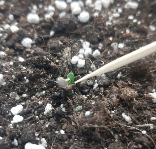 20230404_105446.jpg 20230404_105446.jpg