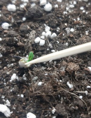 20230404_105508.jpg 20230404_105508.jpg