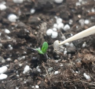 20230404_105532.jpg 20230404_105532.jpg