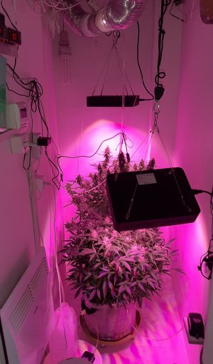 20230412_073531.jpg 20230412_073531.jpg