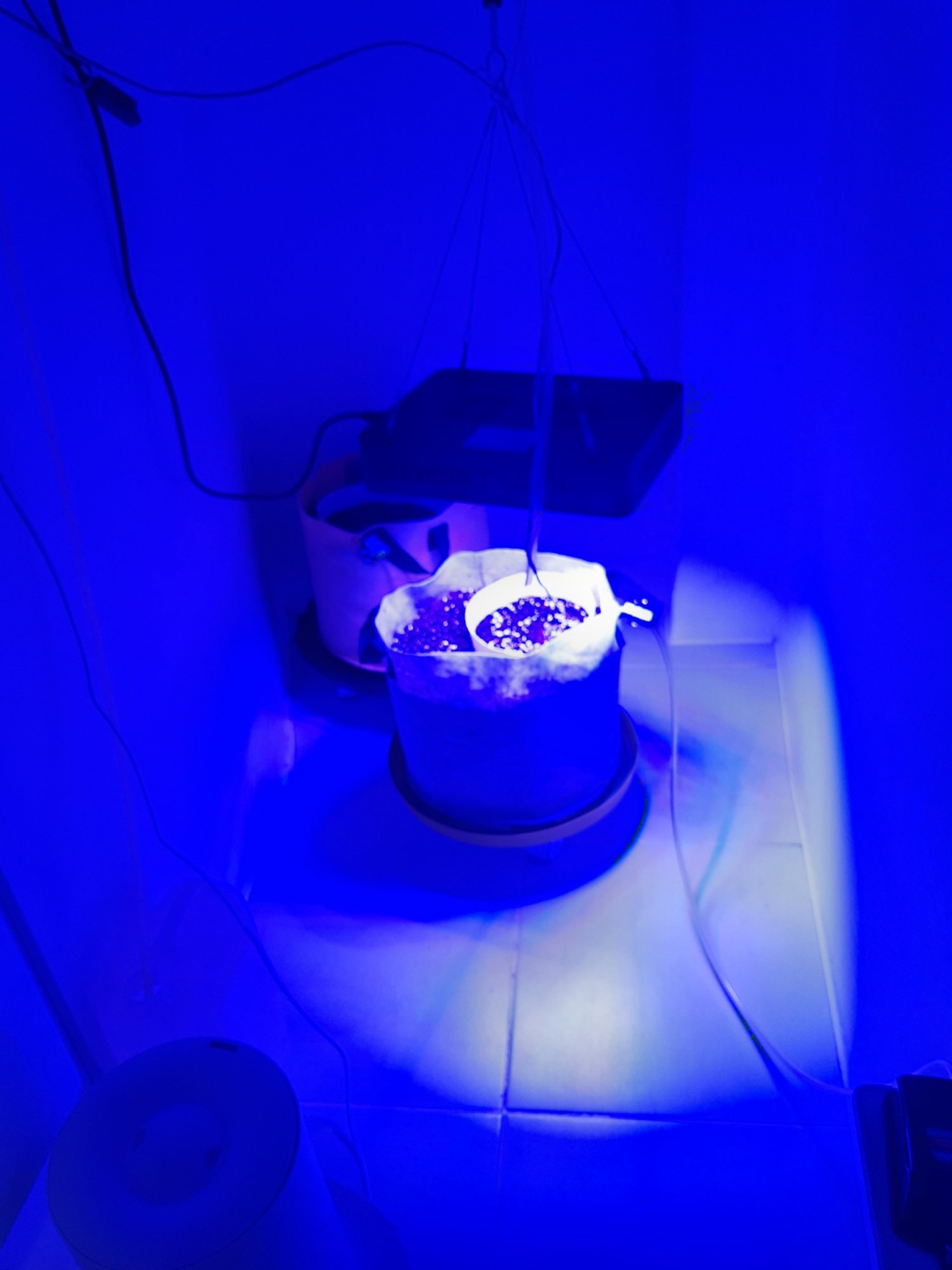 20230412_084343.jpg 20230412_084343.jpg