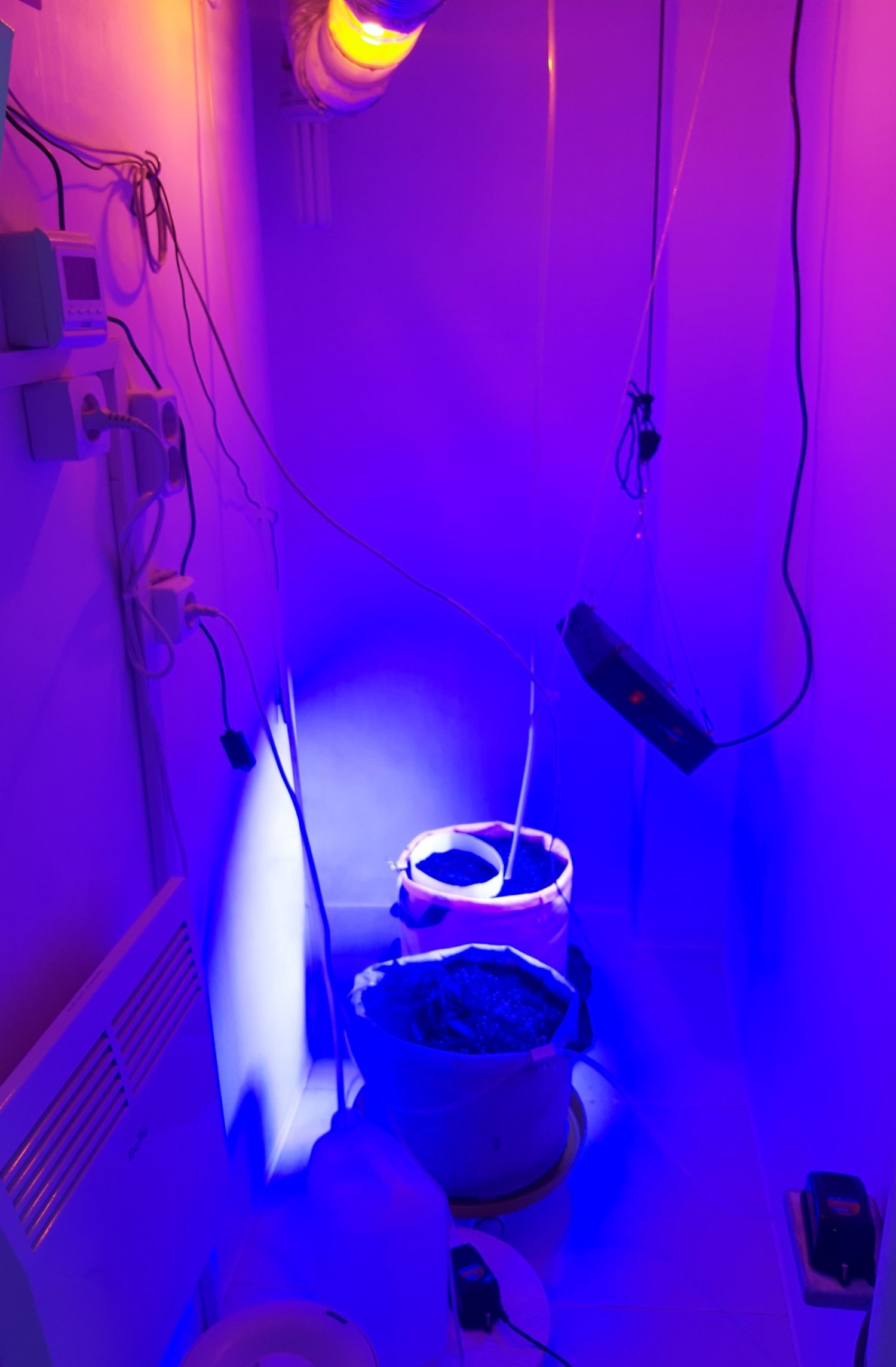 20230412_084309.jpg 20230412_084309.jpg