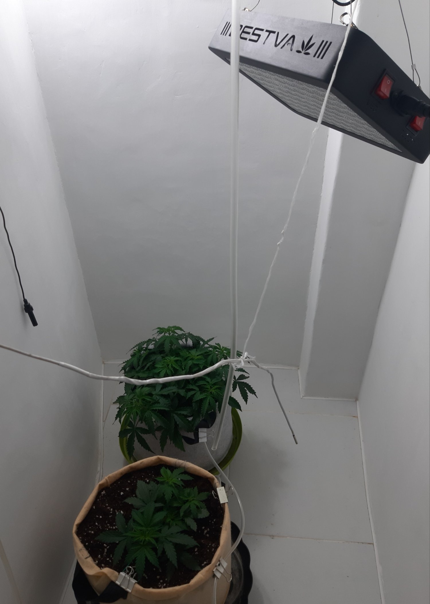 20230412_084628.jpg 20230412_084628.jpg